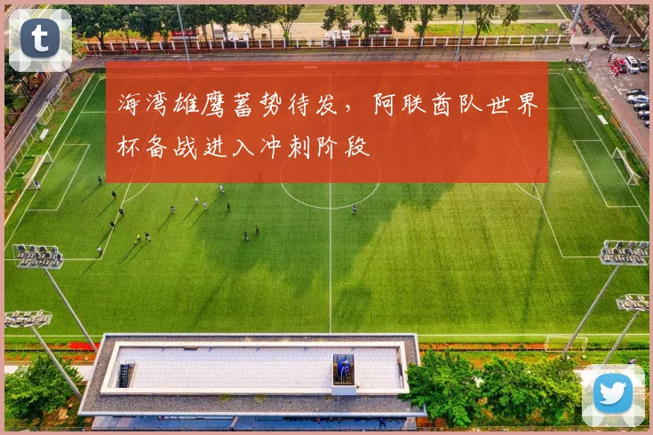 海湾雄鹰蓄势待发，阿联酋队世界杯备战进入冲刺阶段