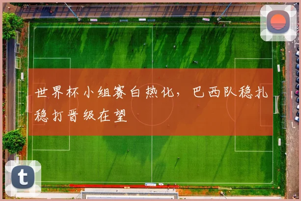 世界杯小组赛白热化，巴西队稳扎稳打晋级在望
