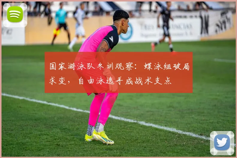 国家游泳队冬训观察：蝶泳组破局求变，自由泳选手成战术支点